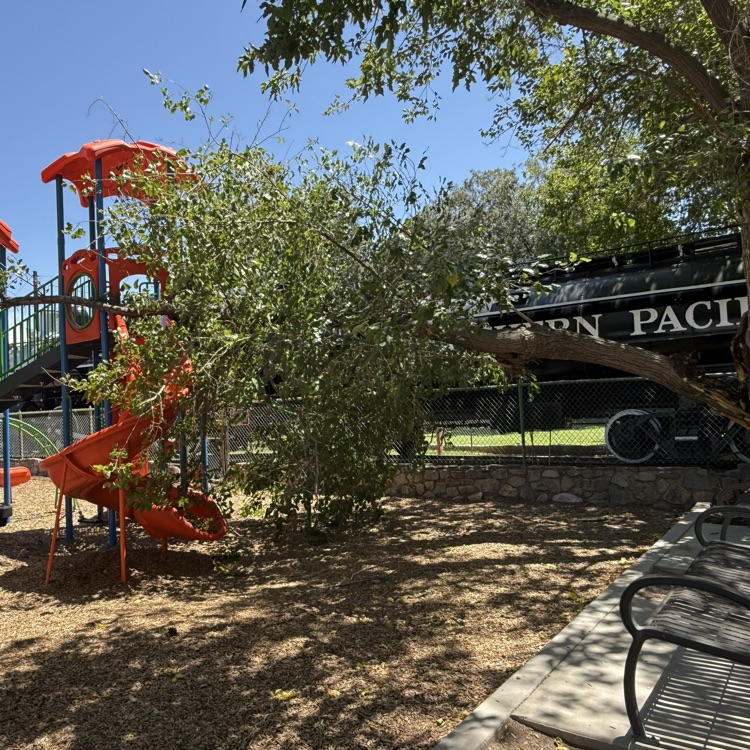 Photo of a tree fallen over on playground equipment