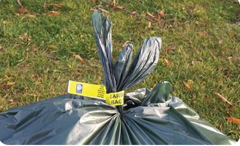 graettinger1893@rvtc.net