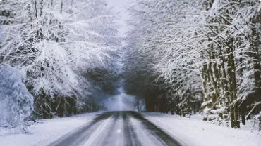 graettinger1893@rvtc.net