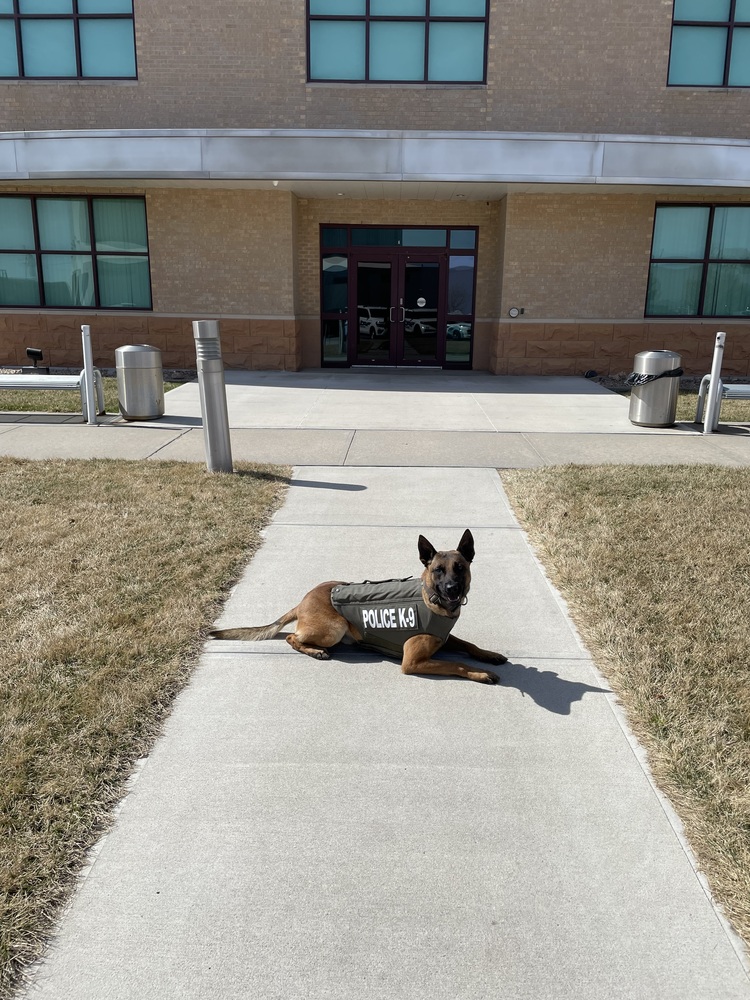 Grand Island Police Departmentβs K9 Mando has received donation of body armor