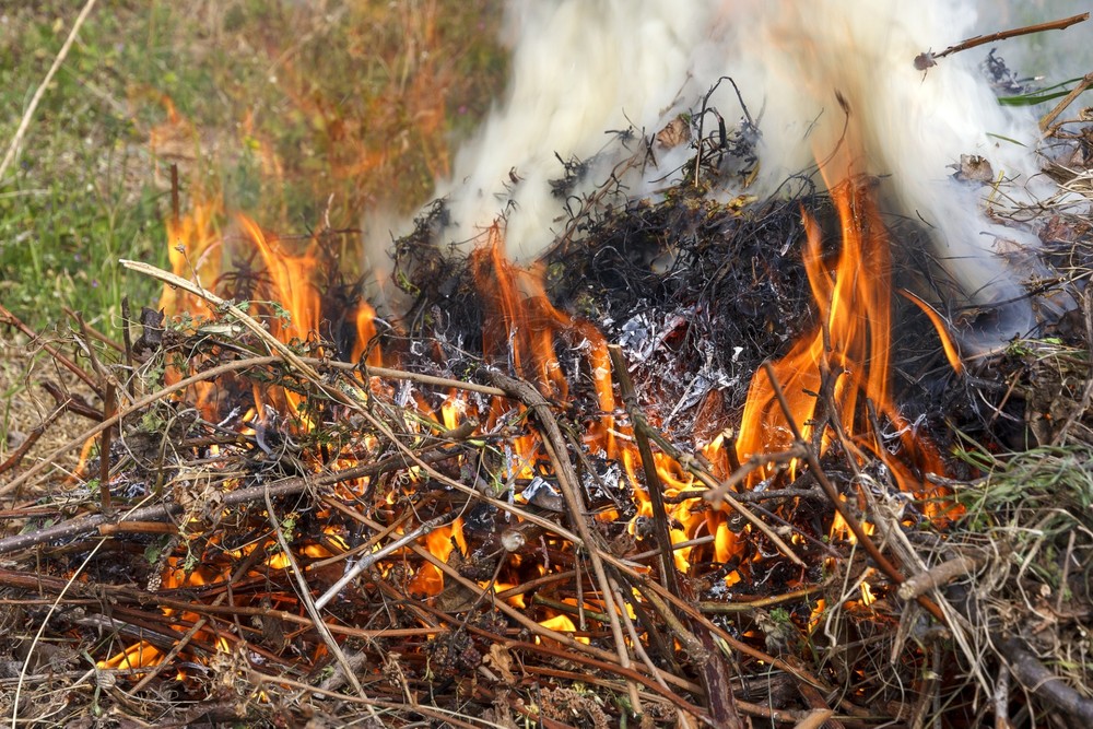 Open Burn Period