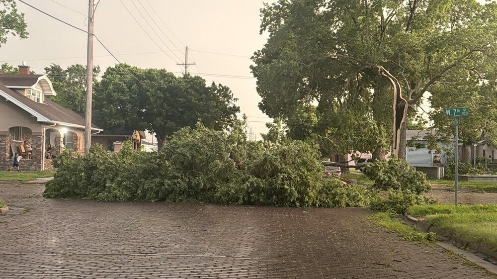 Image of downed tree limb laying across a 7th Street intersection