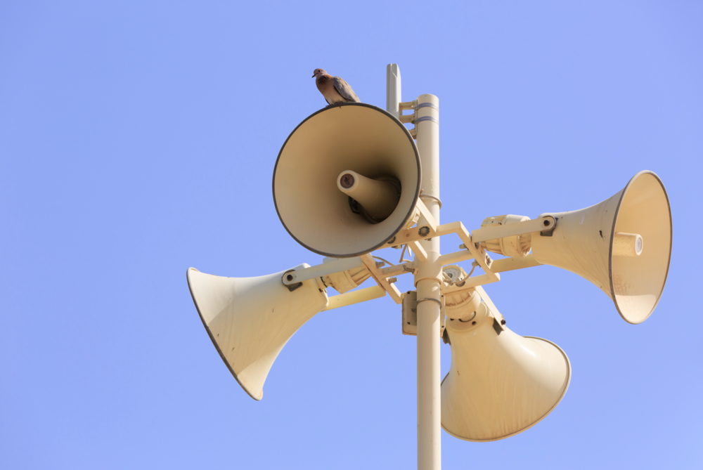 Bird sitting on top of outdoor warning siren