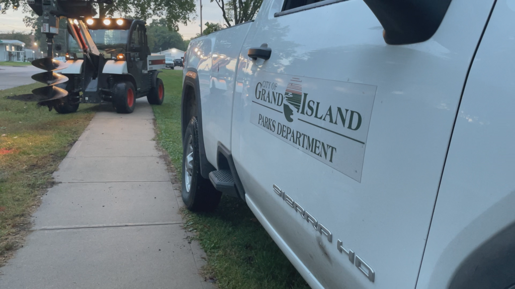 Planting Trees in Broadwell Park