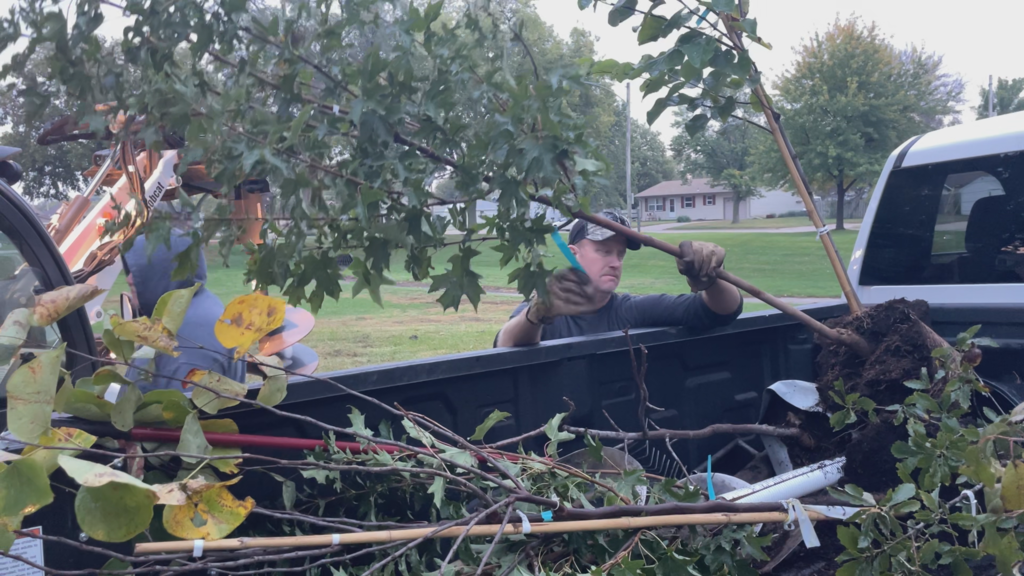 Planting Trees in Broadwell Park