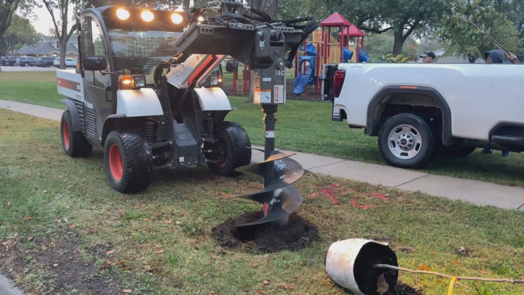 Planting Trees in Broadwell Park