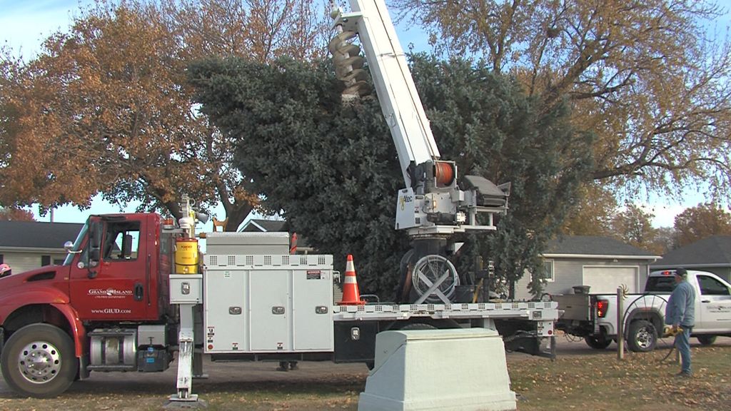 Railside Christmas Tree