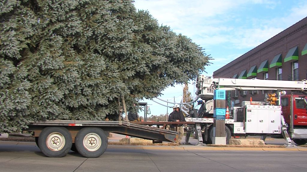 Railside Christmas Tree