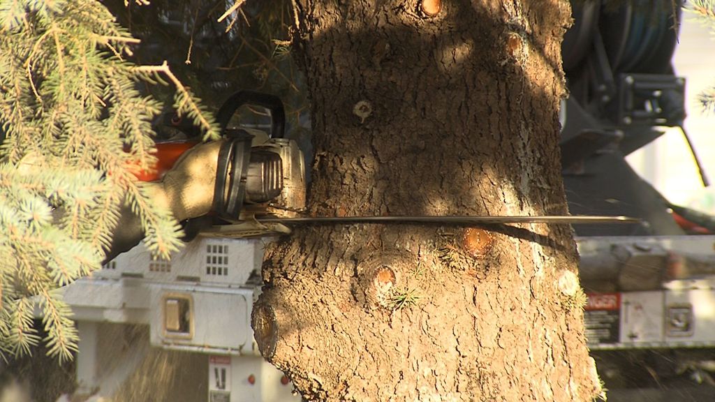 Railside Christmas Tree