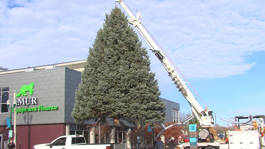 Railside Christmas Tree