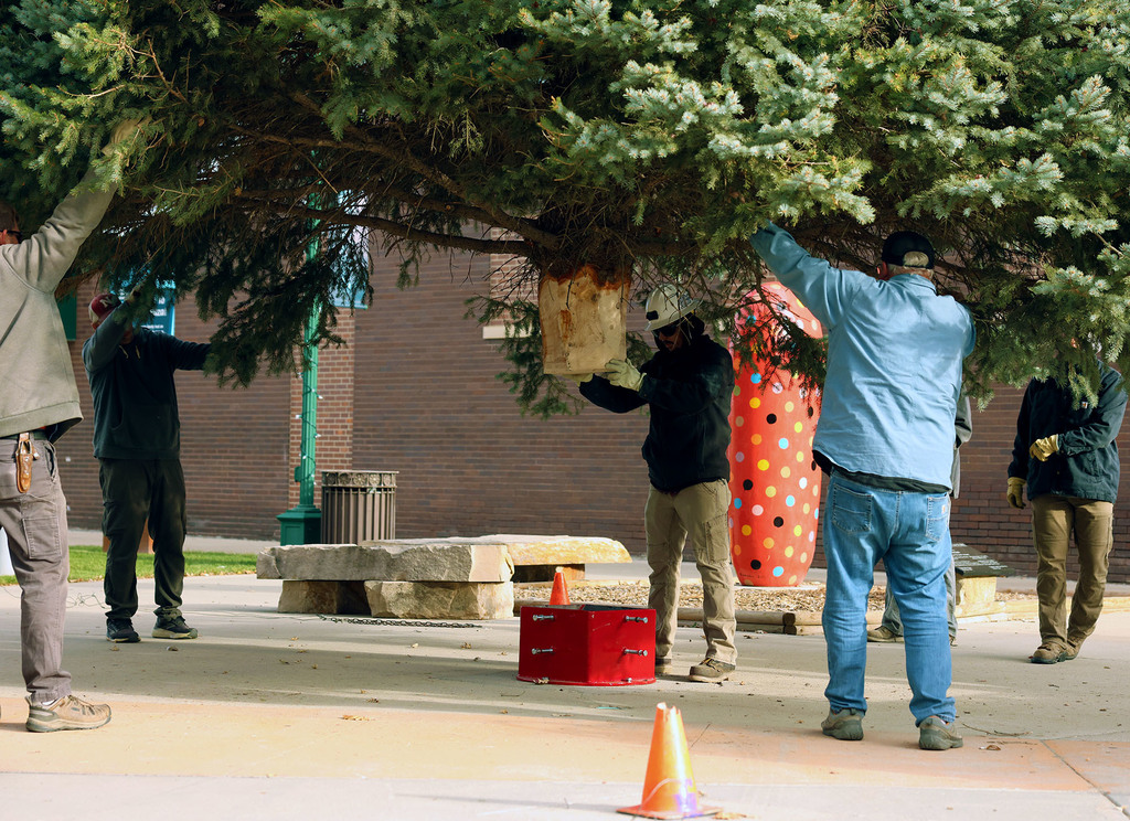 Railside Christmas Tree