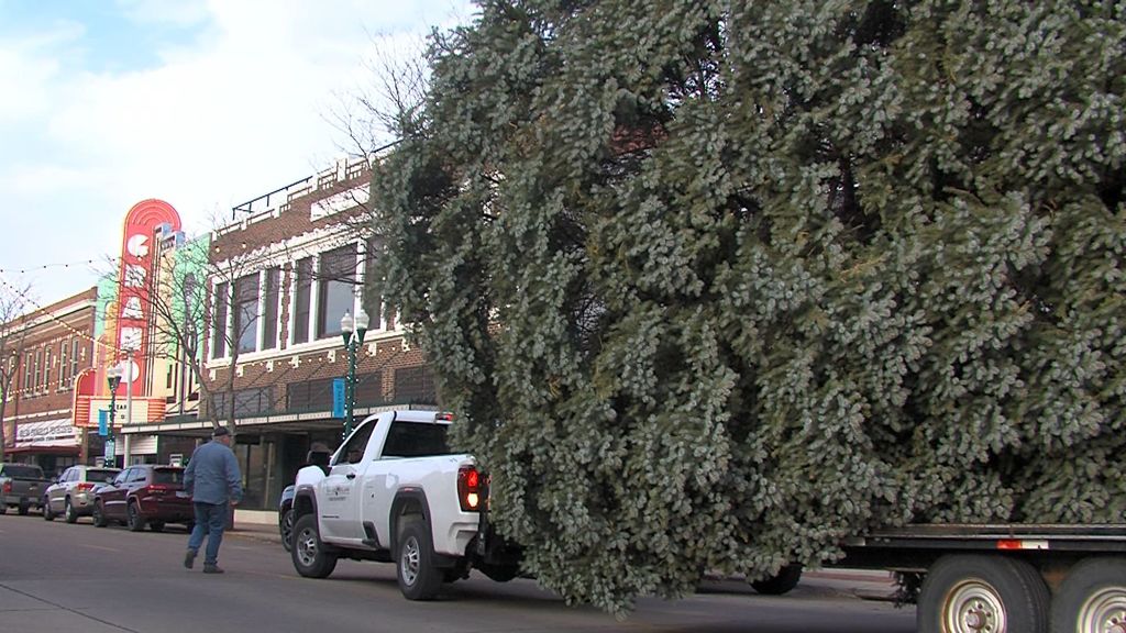 Railside Christmas Tree