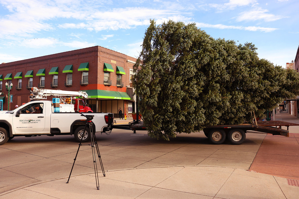 Railside Christmas Tree