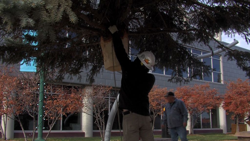 Railside Christmas Tree