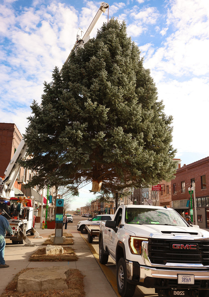 Railside Christmas Tree