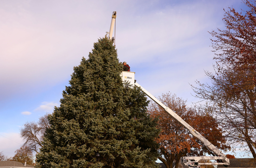 Railside Christmas Tree