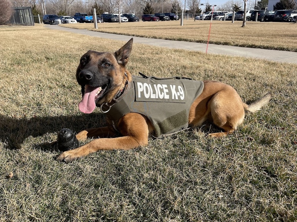 🐕‍🦺 K9 Mando is now better protected on the job. Thanks to a generous donation from Vested Interest in K9s, Inc., K9 Mando has received a bullet and stab protective vest designed to help keep him safe while serving our community. The nonprofit organization has provided thousands of protective vests to law enforcement K9s across the country, helping ensure these four-legged officers have the protection they deserve. We’re grateful to Vested Interest in K9s, Inc. for supporting the safety of K9 teams like Mando. 🐾🚓