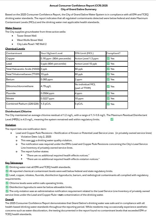 2025 Consumer Confidence Report Summary