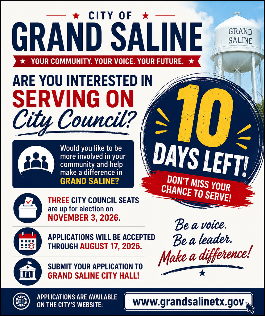 CITY COUNCIL ELECTION