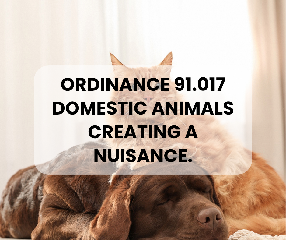 ORDINANCE 91.017 DOMESTIC ANIMALS CREATING A NUISANCE.