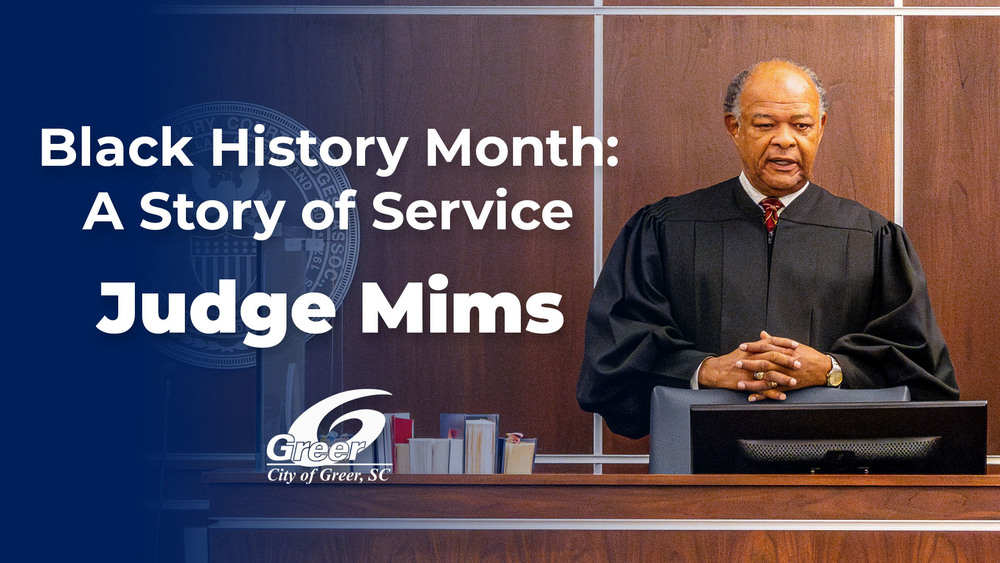 judge mims thumbnail