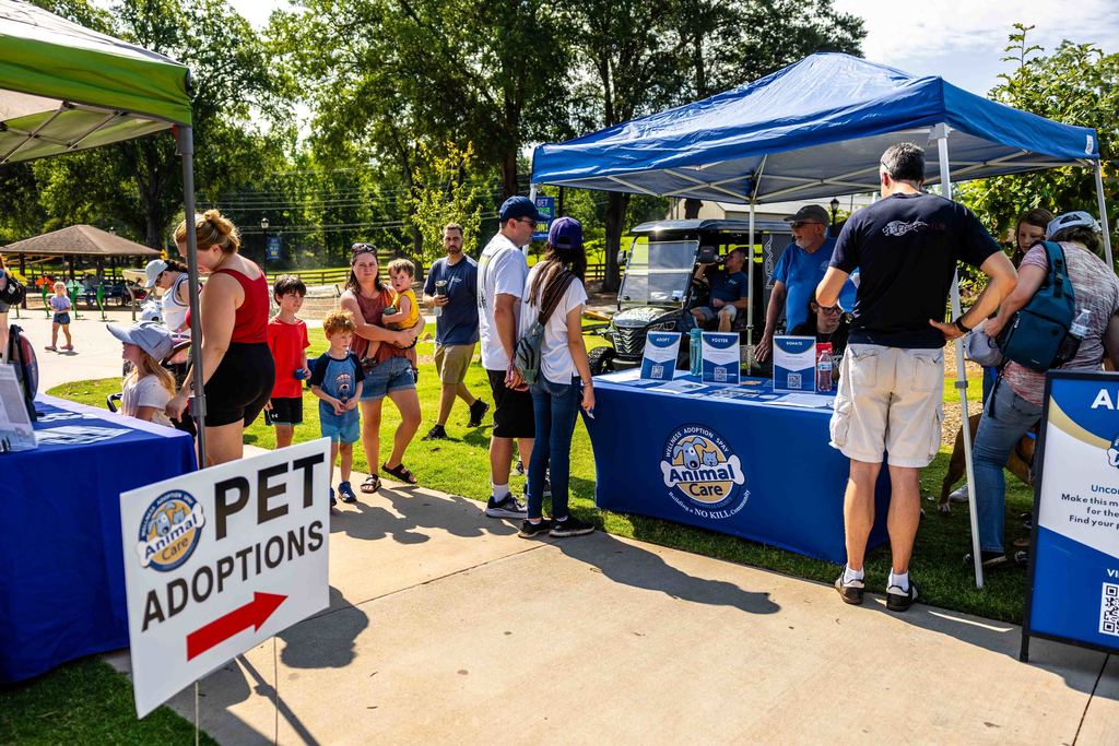 People crowd around Pet Adoption table at Park Hop Playdate