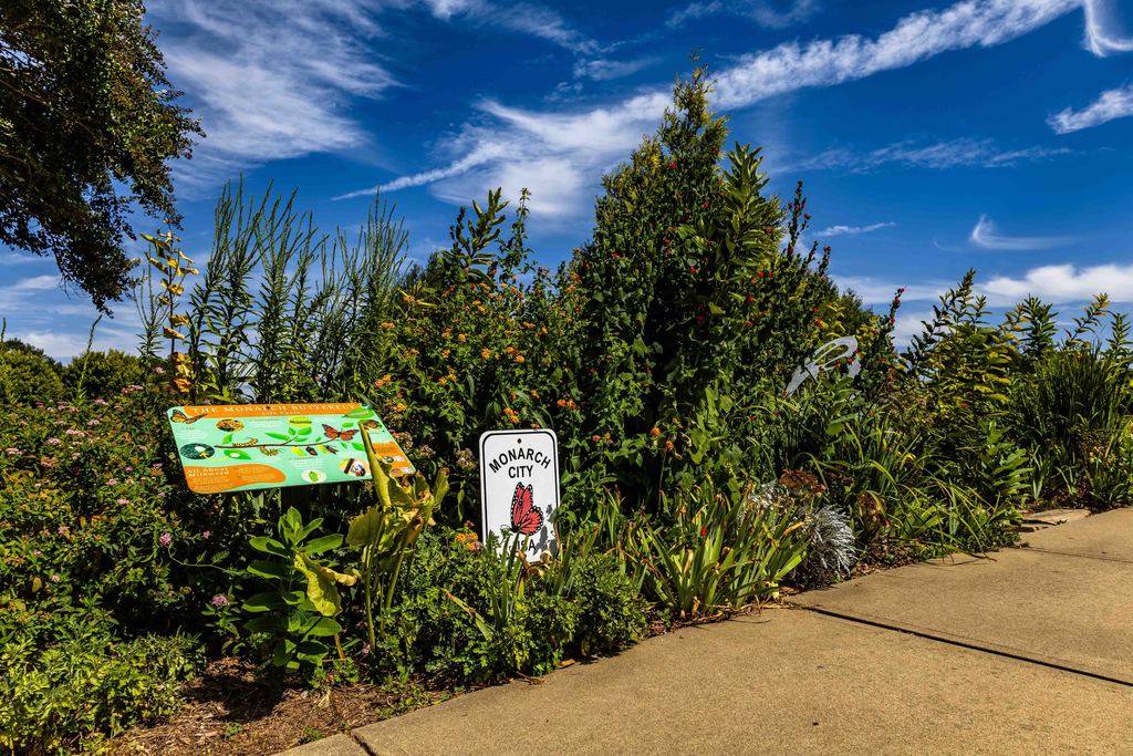 Butterfly Garden at Greer City Park
