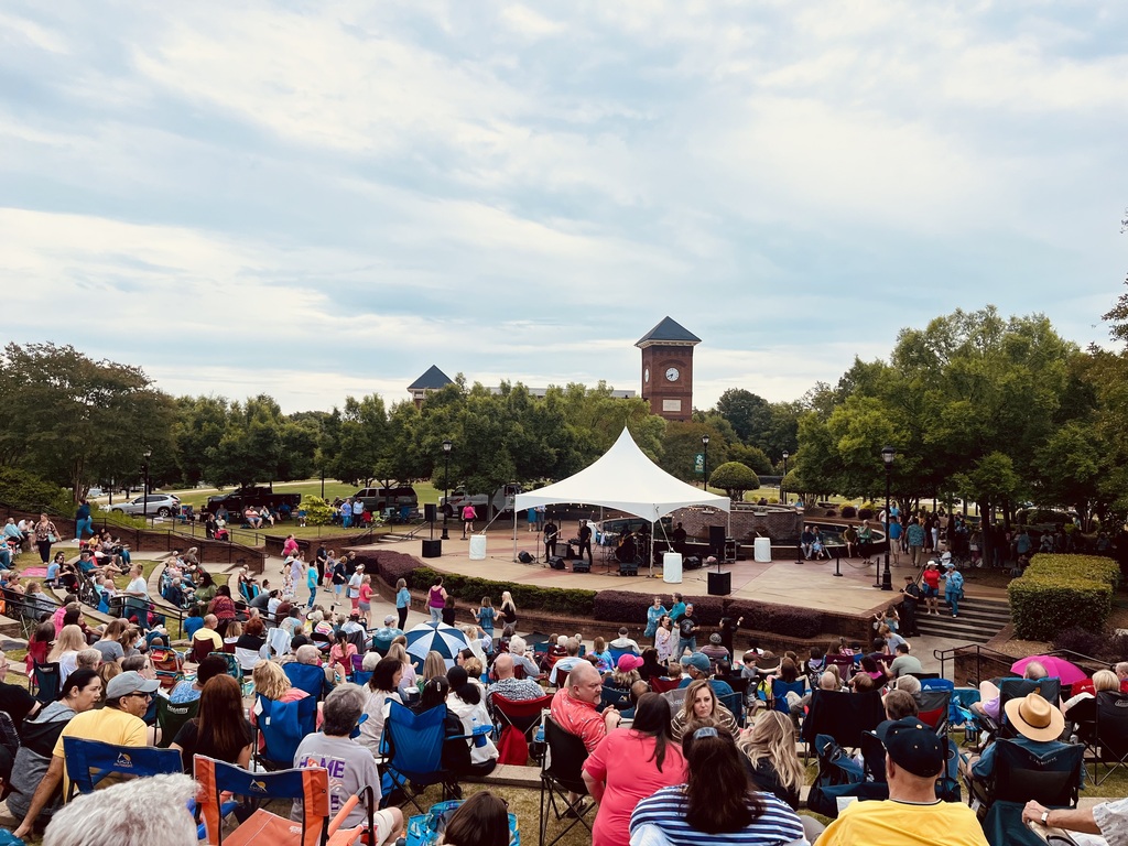 Tunes in the Park crowd shot