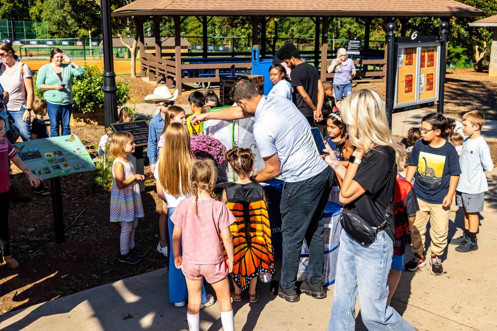 Butterflies being released