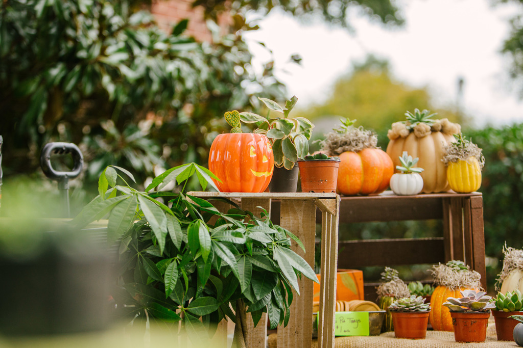 Artisan Makers Market Pumpkin Pottery