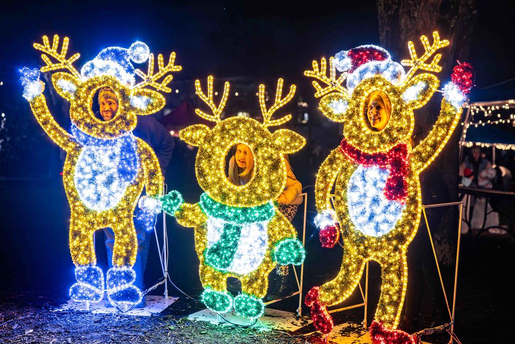 Reindeer Photo Op at the Greer Christmas Tree Lighting