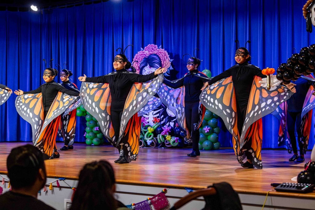 young ladies dressed like butterflies dancing on a stage