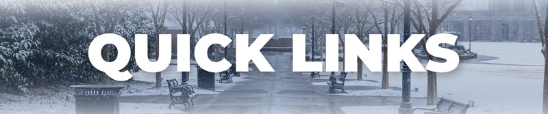 Image with the words Quick Links and a photo of a snowy Greer City Park in the Background