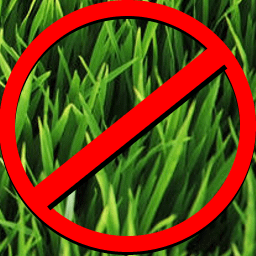 no grass clippings in garbage