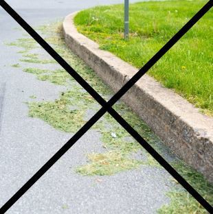 Yard Waste Removal