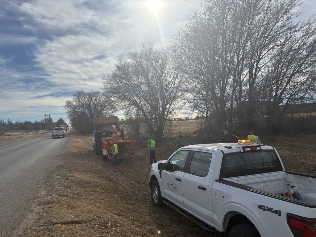 Parks Department Trimming Trees 2