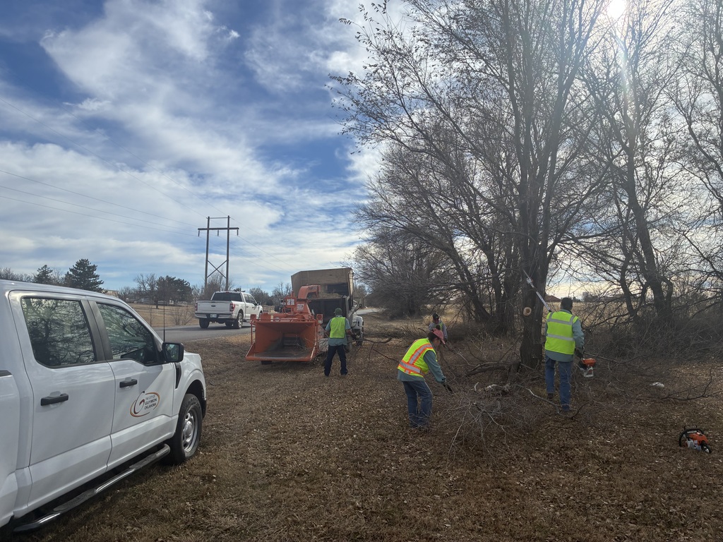 Parks Department Trimming Trees