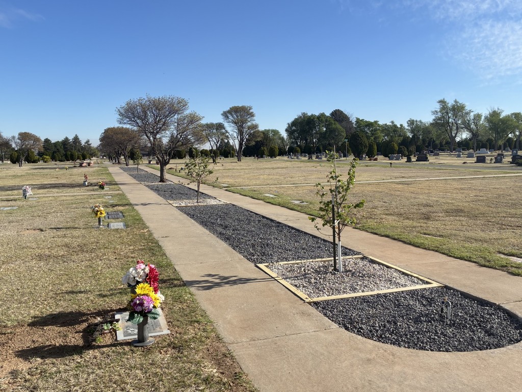 Cemetery Project
