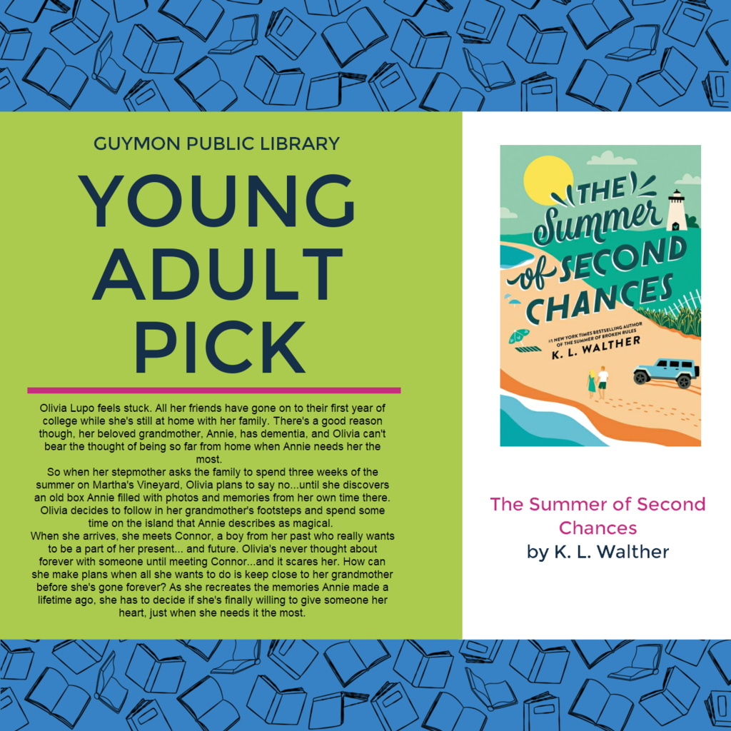 Young Adult Pick: The Summer of Second Chances by K. L. Walther