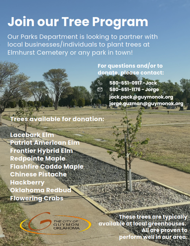 Tree Program Flyer