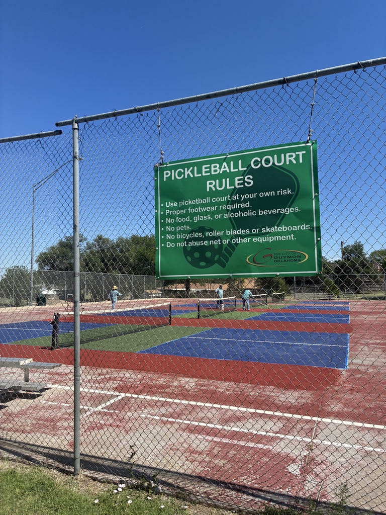 Pickleball Court