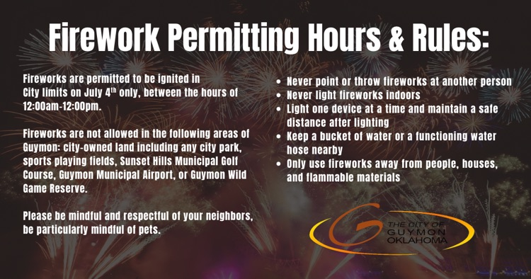 Firework Flyer