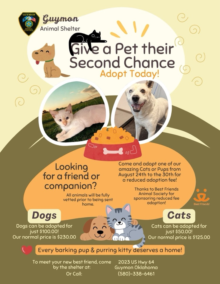 Adoption Event Flyer