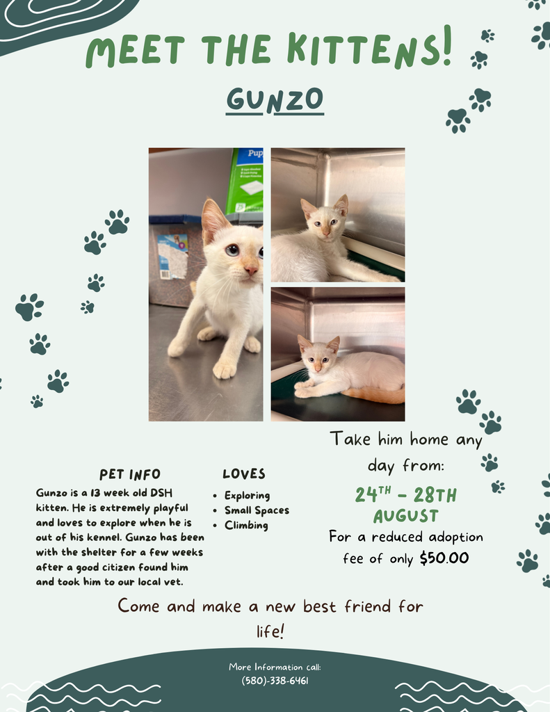 Gunzo