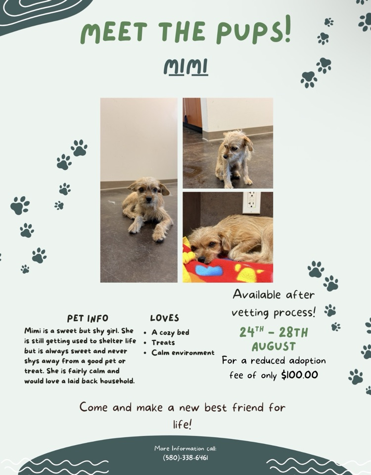 Mimi