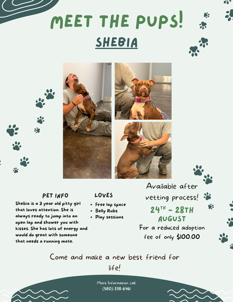 Shebia