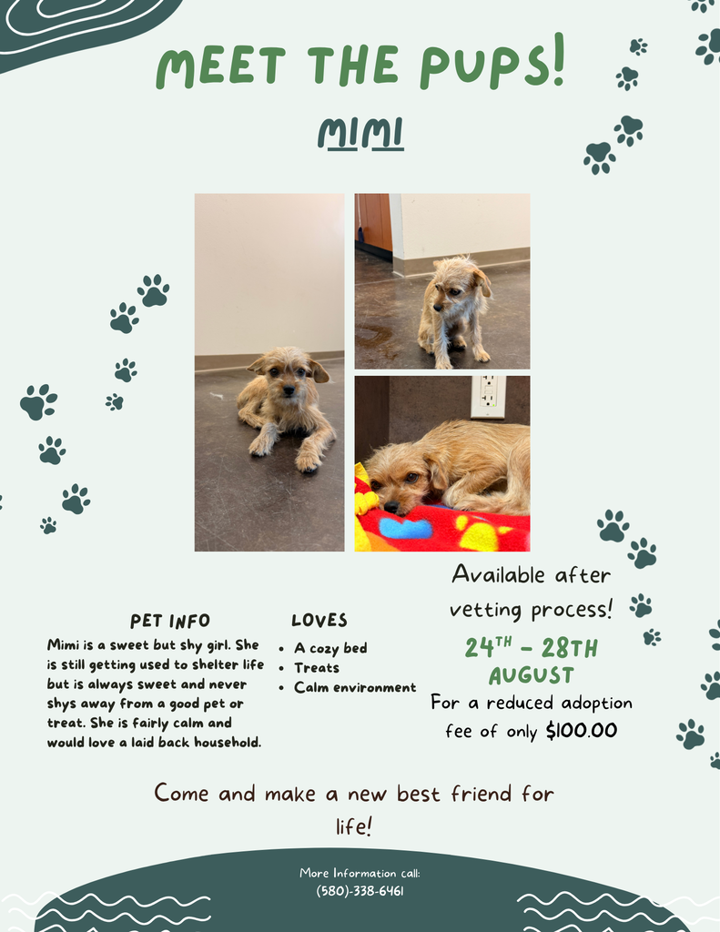 Mimi