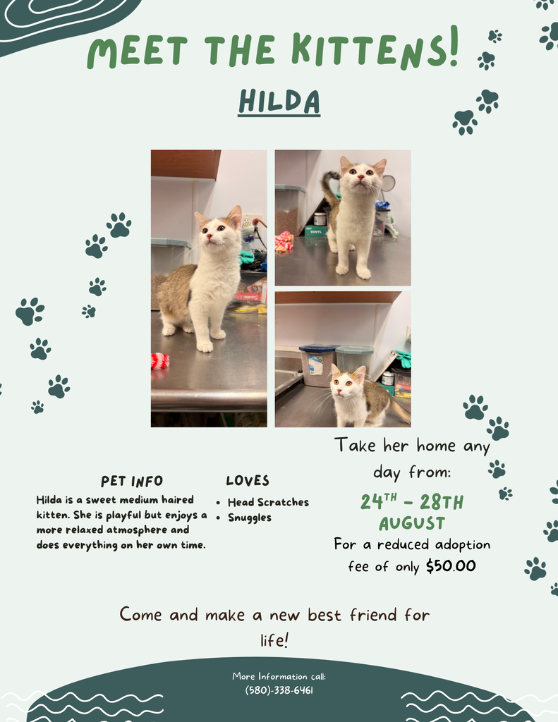 Hilda