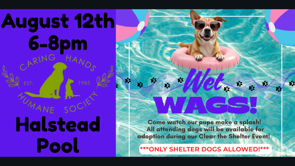 Wet Wags 2025