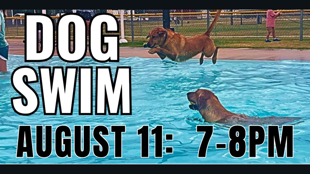 Dog Swim 2025